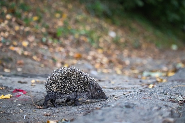 最佳注脚 最佳注脚