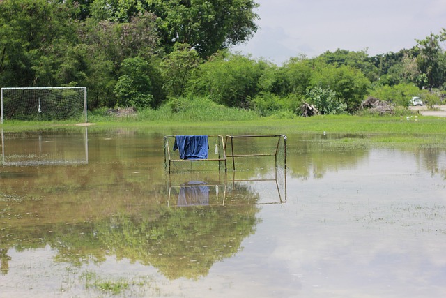 一步向总冠 一步向总冠