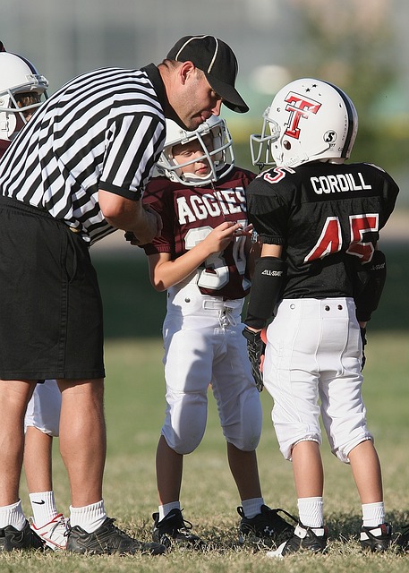 若他们能合 若他们能合