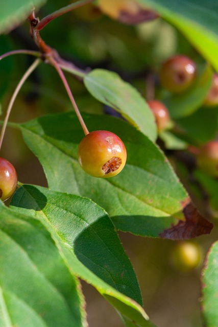分能力始终 分能力始终