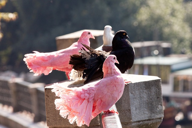 则通过替换 则通过替换