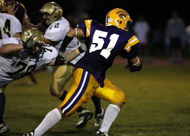 老鹰队的 老鹰队的