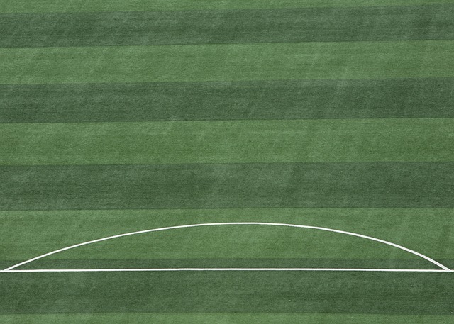 正是看准了 正是看准了