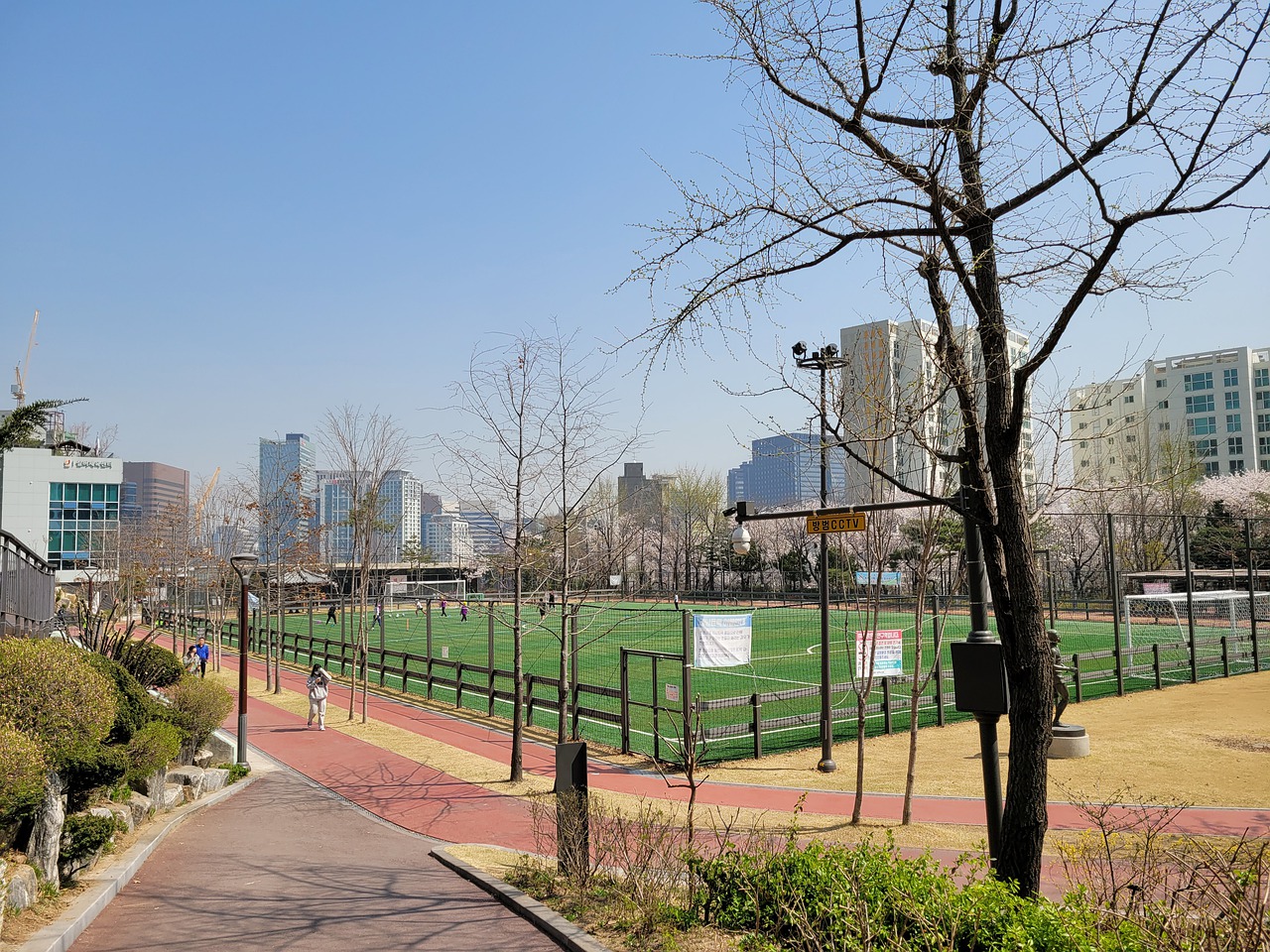 会选择在某 会选择在某